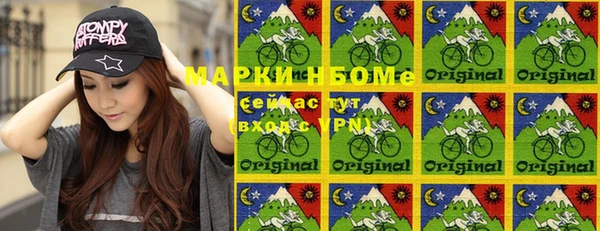 дурь Инсар