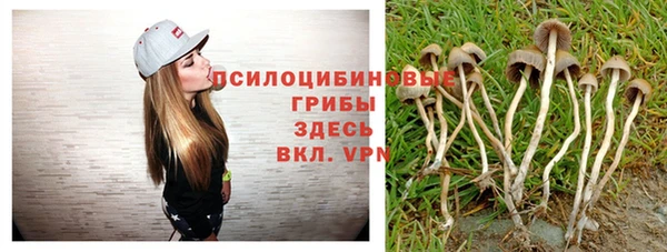 дурь Инсар