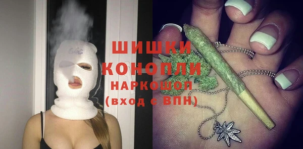 дурь Инсар